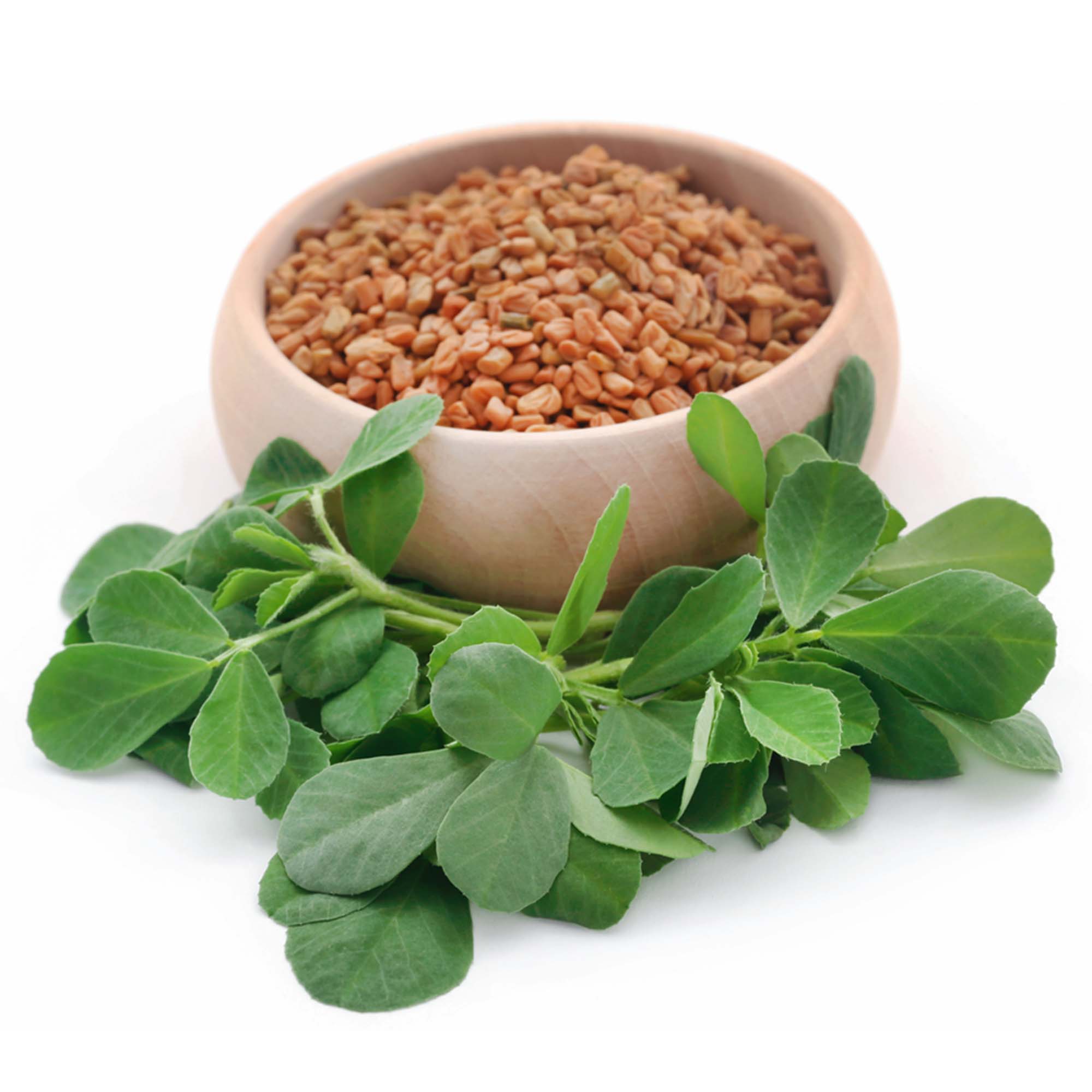 the-role-of-fenugreek-in-lowering-cholesterol-levels-bodyfirst